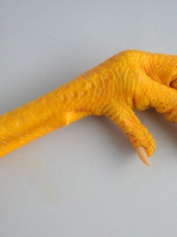 chicken foot
