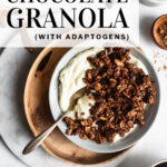Dark chocolate granola pinterest pin