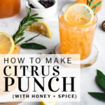Pinterest pin how to make citrus punch