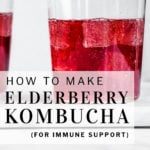 pinterest pin how to make elderberry kombucha