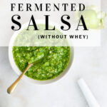 pinterest pin fermented salsa