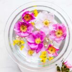 wild roses on a plate