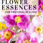 how to make flower essences