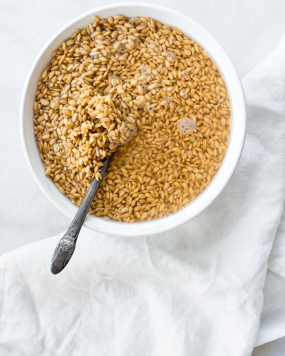 soaked grains