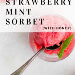 pinterest pin how to make strawberry mint sorbet